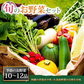 【ふるさと納税】お野菜セット 野菜 お野菜 阿蘇の高原 旬 季節の野菜セット 減農薬 新鮮 安心安全 大満足 産地直送 詰め合わせ やさい ふるさと納税 野菜セット ふるさと納税野菜 みずみずしい 美味しい 自然 自然派 セット たっぷり 熊本県 阿蘇市
