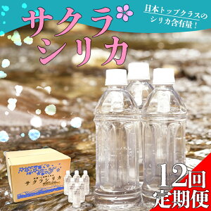 yӂ邳Ɣ[Łzyցz݂̗@h̓VRuTNVJv 500ml×24{@z ~lEH[^[   VR@ VJ ރVJ TtF[g ybg{g i`~