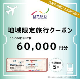 【ふるさと納税】地域限定旅行クーポン 阿蘇市 ふるさと納税 阿蘇 熊本県阿蘇市 熊本県 温泉 旅行 観光 宿泊 日本旅行 旅行 60000円分 30000円×2枚 ホテル 旅館 宿 ペンション 民宿 内牧温泉 リフレッシュ ストレス解消 ふるさと納税 熊本県 阿蘇市