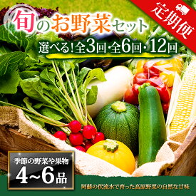 【ふるさと納税】【定期便】畑から直送 季節のお野菜セット Mサイズ 3回 6回 12回 定期便 野菜 4〜6品 定期便 ふるさと納税 全6回 全12回 詰め合わせ セット 新鮮 減農薬 高原 旬 産地直送 野菜 果物 フルーツ 採れたて 甘い 美味しい 人気 安心 安全 熊本県 阿蘇市