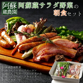 【ふるさと納税】 サラダ野菜 ベーコン ハム ソーセージ どんぐりポーク 野菜 阿蘇蔵農園 朝食 セット 新鮮 阿蘇谷 採れたて 産地直送 フレッシュ 健康 美味しい 瑞々しい 熊本県 阿蘇市