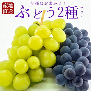 yӂ邳Ɣ[ŁzԂǂ Hה 2Zbg 1.5kg ĕZbg i͂܂ sI[l OsI[l  nj[r[iX VC}XJbg VT NC[j[i l