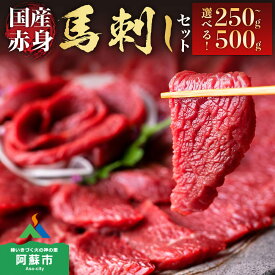 【ふるさと納税】馬刺し ふるさと納税 赤身 国産 赤身馬刺し 馬刺し 赤身 熊本 馬肉 上質 新鮮 赤身 たっぷり 250g 500g 小分け 馬刺しふるさと納税 専用タレ セット 専用醤油付き 詰め合わせ お取り寄せ 利他 利他フーズ 熊本県 阿蘇市