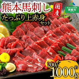 【ふるさと納税】馬刺し ふるさと納税 赤身 国産 上赤身馬刺し 200g 300g 500g 1000g 馬肉 セット 詰め合わせ お取り寄せ 冷凍 馬肉 赤身 馬刺し ふるさと納税 刺身 お歳暮 お土産 ギフト 贈答用 おつまみ 阿蘇牧場 熊本県 阿蘇市