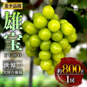 yӂ邳Ɣ[Łzy\zԂǂ }XJbg Y 1[ 800g   ʕ  t[c H H̖o VN Ԍ 炲 uhE  Yn Â W[V[  