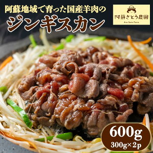 【ふるさと納税】阿蘇地域で生産した貴重な国産羊肉のジンギスカン!国産羊肉 熊本特産 晩白柚風味 羊肉レシピ 簡単調理 焼くだけ 本格ジンギスカン 熊本グルメ ご当地グルメ お取り寄せ