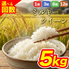 【ふるさと納税】 【選べる回数】 定期便 特別栽培米 ミルキークイーン お米 米 令和7年 ふるさと納税 5kg 1回 3回 6回 12回 白米 こめ おこめ 阿蘇米 アグロスタイル 米 お米 美味しい 寒暖差 湧き水 お取り寄せ 食卓 豪華 贅沢 自然 湧水 熊本県 阿蘇市