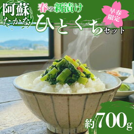 【ふるさと納税】たかな 高菜 阿蘇高菜 新漬け 漬物 阿蘇たかな 青高菜 青たかな 春の「ひとくち阿蘇」セット 3種食べ比べセット たかな 詰め合わせ セット 名産品 期間限定 数量限定 限定 春 高菜漬け お漬物 ギフト 冷凍保存可 贈り物 ギフト ご飯のお供 熊本県 阿蘇市