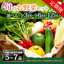 【ふるさと納税】【定期便】畑から直送 季節のお野菜セット Mサイズ 3回 6回 12回 定期便 野菜 4〜6品 定期便 ふるさと納税 全6回 全12回 詰め合わせ セット 新鮮 減農薬 高原 旬 産地直送 野菜 果物 フルーツ 採れたて 甘い 美味しい 人気 安心 安全 熊本県 阿蘇市