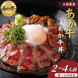 【ふるさと納税】【三協畜産】熊本名物あか牛丼セット 2人前 または 4人前 あか牛 赤牛 牛肉 あか牛 あか牛丼 国産 簡単 お取り寄せ 冷凍 お土産 ギフト 贈り物 贈答用 豪華 セット ご当地 簡単 手軽 贅沢 ご褒美 お祝い 人気 晩ご飯 熊本県 阿蘇市