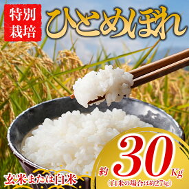 【ふるさと納税】特別栽培米 お米 米 ひとめぼれ 玄米 約30kg 白米 約27kg 令和7年産 選べる品種 玄米 白米 ふるさと納税 令和7年度 選べる 白米 こめ おこめ 阿蘇アグロスタイル 阿蘇米 米 お米 美味しい 寒暖差 湧き水 お取り寄せ 食卓 豪華 贅沢 自然 湧水 熊本県 阿蘇市
