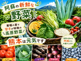 【ふるさと納税】【阿蘇 郷乃舎】阿蘇高原 農家直送こだわり野菜と阿蘇特産品セット 野菜ソムリエ上級プロ厳選 ASOMILK のむヨーグルト 牛乳 阿蘇ミルク 阿部牧場 郷乃舎 新鮮 お野菜 6~8品 or 8~10品 産地直送 牧場直送 詰め合わせ お取り寄せ 熊本県 阿蘇市