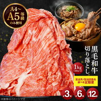 ふるさと納税 A4～A5等級 選べる 定期便 黒毛和牛 ミシュランビブグル...