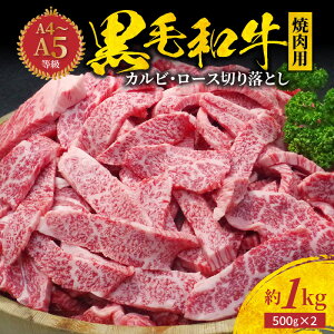 yӂ邳Ɣ[Łz~VruO} l јa ēp  1kg 500g × 2pbN [X Jr ؂藎Ƃ A4 ` A5  ؂ ߍׂ ~ TV  ~bNX  