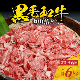 【ふるさと納税】お肉のプロが選ぶ 定期便 6か月 黒毛和牛 毎月 堪能 切り落とし 複数部位 ミックス 1kg × 6回 計 6kg お肉 美味しい 牛肉 ミシュラン ビブグルマン 獲得 肉 牛 黒毛和種 専門店 田中畜産 冷凍 牛丼 肉じゃが 肉うどん 食品 グルメ 熊本県 天草市 送料無料