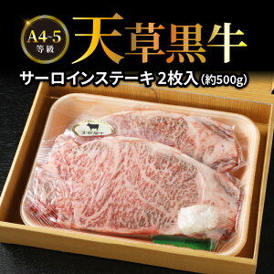 yӂ邳Ɣ[Łz V T[C Xe[L 2  500g A4 ` 5 јa uh o[xL[ a Y  Hi Hו VX B F{ Vs  