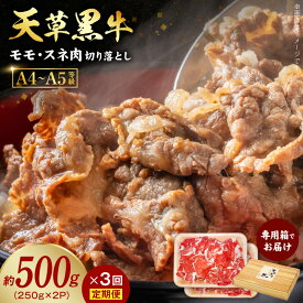 【ふるさと納税】定期便 3回 牛肉 モモ スネ肉 切り落とし 約 500g A4 ～ 5等級 黒毛和牛 天草黒牛 ブランド牛 和牛 国産牛 肉 食品 食べ物 あっさり 脂身 専用箱 九州 熊本県 天草市 お取り寄せ お取り寄せグルメ 冷凍配送 送料無料