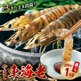 【ふるさと納税】【着日指定】 高評価 活き車海老 やまと車海老 選べる 内容量 200g 300g 500g 1kg 車海老 海老 海鮮 魚介類 新鮮 鮮度抜群 プリプリ 食感 甘味 魅力 自然に近い 養殖 踊り食い 塩焼き 天ぷら エビフライ エスニック料理 常温 お取り寄せ 熊本県 送料無料