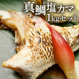yӂ邳Ɣ[Łz^ J} Zbg v1kg 100g × 10pbN  J}  Ă s[^[  V[t[h CY CN C̍K т̂  z  ܂ ̍ ƈ 
