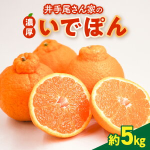 yӂ邳Ɣ[Łzk sm  5kg ʕ Z t[c łۂ_ Mtg \t