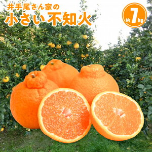 【ふるさと納税】柑橘 不知火 約 7kg 果物 濃厚 小さい 家庭用 フルーツ いでぽん農園 ギフト 天草 みかん ミカン 予約受付 先行予約