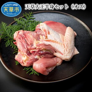 yӂ邳Ɣ[Łz{ g Zbg 800g O  ނ˓ TT~ H H n{ V剤 IX Ⓚ vg ͂ ⓀMtg F{ V  񂹃O Y