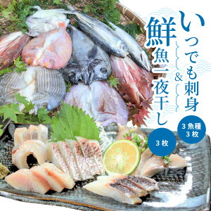 【ふるさと納税】いつでも刺身 3魚種 3枚&鮮魚一夜干し 3枚セット