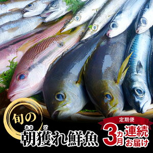 yӂ邳Ɣ[Łzywz  3   1.5kg ` 2kg { N CV[xbg CN hg ϕ Ă ① Yi VN l Řb  B F{ Vs 