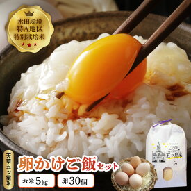 【ふるさと納税】先行受付 お米 5kg 卵 30個 セット コシヒカリ わさもん うるち米 有精卵 単一原料米 国産