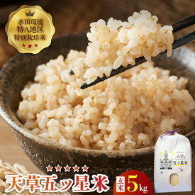 【ふるさと納税】先行受付 令和8年産 五ツ星米 5kg 玄米 国産 特別栽培米 白米 ごはん おにぎり 米作り 熊本県 天草 お取り寄せ 食品 九州 送料無料 故郷の味 常温