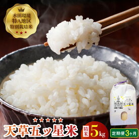 【ふるさと納税】先行受付 定期便 お米 5kg 3回 五つ星米 精米 コシヒカリ わさもん うるち米 特別栽培米 単一原料米 国産