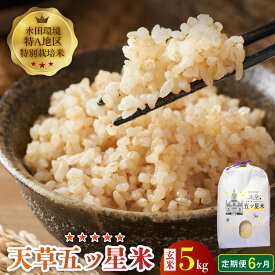 【ふるさと納税】先行受付 定期便 お米 5kg 6回 五つ星米 玄米 コシヒカリ わさもん うるち米 特別栽培米 単一原料米 国産