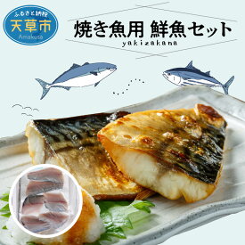 【ふるさと納税】【着日指定】 鮮魚 セット 焼き魚 塩焼き ソテー ムニエル 旬 お魚屋さん 厳選 1.3〜1.5kg 選りすぐり 冷蔵 チルド 鮮度抜群 魚介 お魚屋さん グルメ 海鮮 新鮮 天草産 熊本県 九州 産地直送 お取り寄せグルメ 送料無料