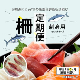 【ふるさと納税】【定期便6回】お刺身用 柵 毎月1回 500g 前後 お届け 天然 鮮魚 旬 刺身 冷蔵 刺身ブロック 真空パック 切るだけ 海鮮 魚 簡単 調理 時短 海の幸 寿司 本渡港 木戸鮮魚店 熊本県 天草市 お取り寄せグルメ 送料無料