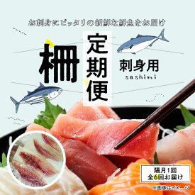【ふるさと納税】【定期便6回】お刺身用 柵 定期便 2ヶ月 1回 500g 前後 お届け 天草 天然 鮮魚 旬 刺身 冷蔵 真空パック 切るだけ 海鮮 魚 簡単 調理 時短 海の幸 寿司 本渡港 木戸鮮魚店 熊本県 天草市 お取り寄せグルメ 送料無料