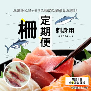 yӂ邳Ɣ[Łzy6zhgp   2 1 600g O ͂ V VR N { hg ① ^pbN ؂邾 CN  ȒP  Z C̍K i {n` ،ˑNX F{