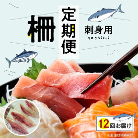 【ふるさと納税】【定期便12回】 お刺身用 柵 毎月1回 500g 前後 カットするだけ 新鮮 天然 鮮魚 旬 冷蔵 刺身 ブロック 真空パック 下処理済み 海鮮 魚介類 魚 簡単 調理 時短 海の幸 寿司 手巻き寿司 海鮮丼 食品 お取り寄せ グルメ 木戸鮮魚店 熊本県 天草市 送料無料