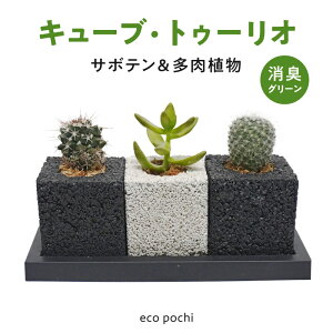 yӂ邳Ɣ[ŁzA|bg ϗtA LO[ L[uEgD[I T{e A 3 Zbg GR|` GR ėp CeA   L Ef z Vv