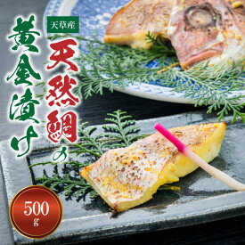 【ふるさと納税】天然鯛 黄金漬け 500g オリジナル 味噌漬け 鯛 食欲そそる ごはんのお供 おつまみ 加工品 海鮮 魚介類 天草産 食品 熊本県 天草市 アマレイ お取り寄せ お取り寄せグルメ 冷凍 送料無料