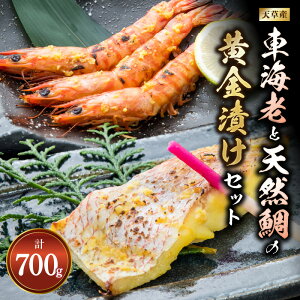 yӂ邳Ɣ[ŁzԊCV VR Ђ Zbg ԂіXЂ 200g VR□XЂ 500g IWi XЂ Hi CN  т̂ ܂ F{ Vs  