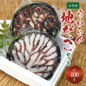 【ふるさと納税】やわらか 地だこ セット お刺身 たこの柔らか煮 各 200g 計 400g 天草産 たこ ボイル アレンジ 酢の物 カルパッチョ 九州 熊本県 天草市 お取り寄せ お取り寄せグルメ 冷凍 送