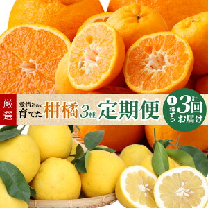 yӂ邳Ɣ[Łz 3 k 3 s\ v  15.5kg |J sm ӊ _ƌI { ʕ t[c 召 Y100N|J ܂ؐӊ ق̂ȊÂ _ ނ₷