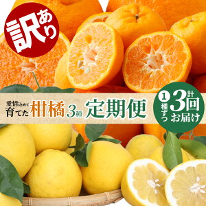 yӂ邳Ɣ[Łzs\ 󂠂  3 k 3 |J 7.5kg sm 5kg ܂ؐӊ 7.5kg Â 悢_ ₷ ςƂÂ lC { ݂ t[c ʕ f