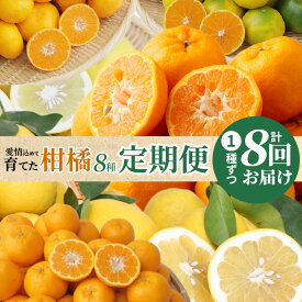 【ふるさと納税】【定期便8回】農家が愛情込めて育てた 柑橘 8種 8回 早摘み 早生 温州 みかん 下浦 100年 ポンカン 不知火 パール柑 木成り あまくさ晩柑 酸味 甘み フルーツ 果実 ジューシー さっぱり 食べ比べ 熊本県 天草市 定期便 お取り寄せ 先行予約 送料無料