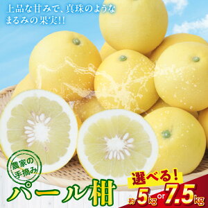 yӂ邳Ɣ[Łzs\ k p[ Iׂ e  5kg / 7.5kg VY ʕ t[c ^ E ł H H׉ ʓ i Â   lC \t 퉷 