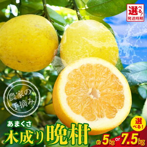 yӂ邳Ɣ[Łzӊ k ؐӊ Iׂ 5kg / 7.5kg 召 _ E ς Â ʓ W[V[   ₵Ă  ƒp t[c ʕ  