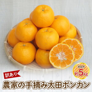 yӂ邳Ɣ[Łzy󂠂z_Ƃ̎E c |J ƒp5kg