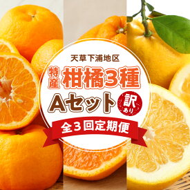 【ふるさと納税】訳あり 定期便 3回 Aセット 果物 ポンカン 不知火 晩柑 木成り 高糖度 さっぱり フルーツ 柑橘 果汁 産地直送 ご家庭用 常温 天草産 熊本県 九州 お取り寄せフルーツ 送料無料