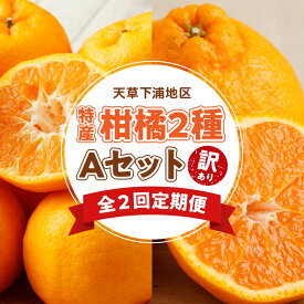 【ふるさと納税】訳あり 定期便 2回 Aセット 果物 ポンカン 不知火 大小混合 高糖度 濃厚 フルーツ 柑橘 果汁 産地直送 ご家庭用 常温 天草産 熊本県 九州 お取り寄せフルーツ 送料無料