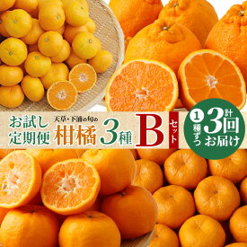 【ふるさと納税】【お試し定期便】天草・下浦の旬の柑橘3種Bセット